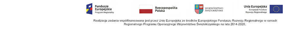 Stopka zawierająca logotypy projektu